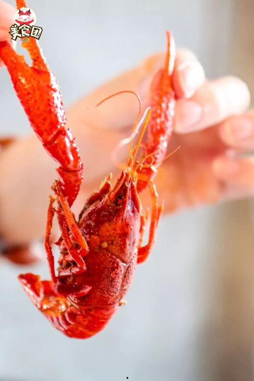 厦门龙虾爆料视频大全最新,最新爆料视频大盘点,美味瞬间尽收眼底 第2张 厦门龙虾爆料视频大全最新,最新爆料视频大盘点,美味瞬间尽收眼底 第2张